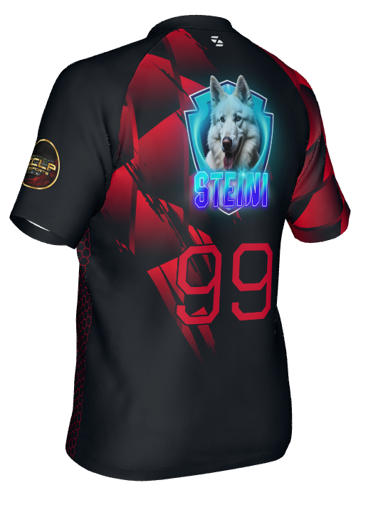 🎮 Custom Esports Jersey – Dein persönliches Trikot mit Logo & Gamertag