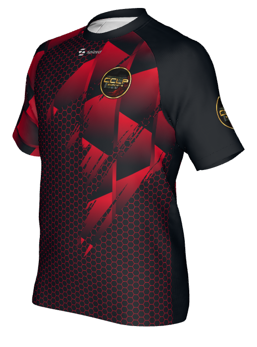 🎮 Custom Esports Jersey – Dein persönliches Trikot mit Logo & Gamertag